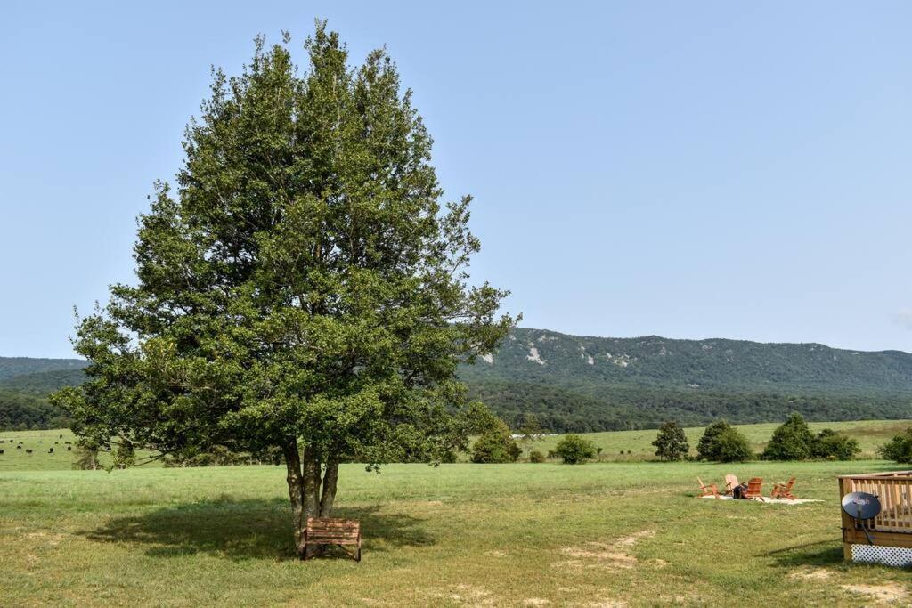 Вілла Holly Tree Retreat Located In Beautiful Luray, Va. Екстер'єр фото