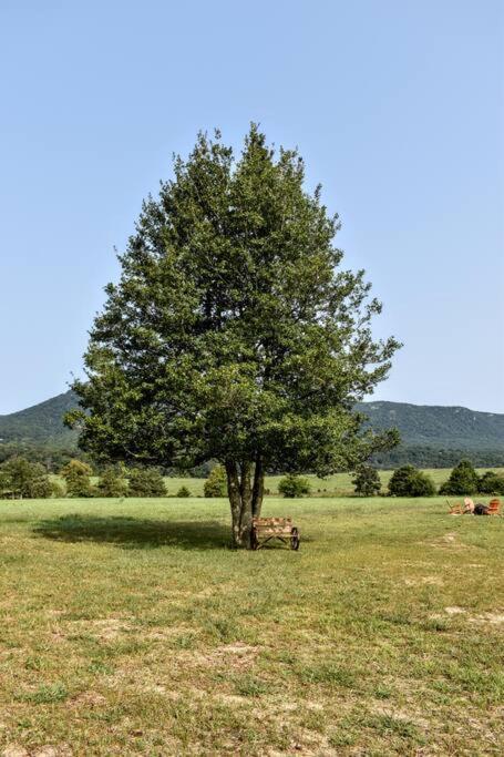 Вілла Holly Tree Retreat Located In Beautiful Luray, Va. Екстер'єр фото