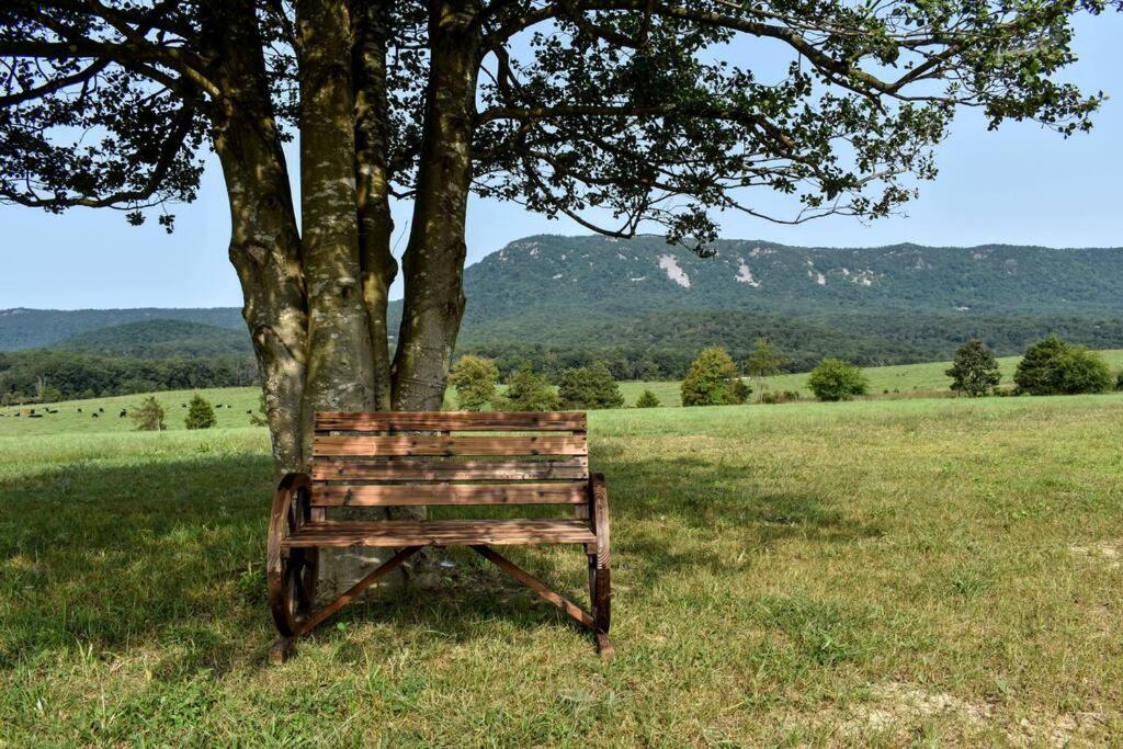 Вілла Holly Tree Retreat Located In Beautiful Luray, Va. Екстер'єр фото