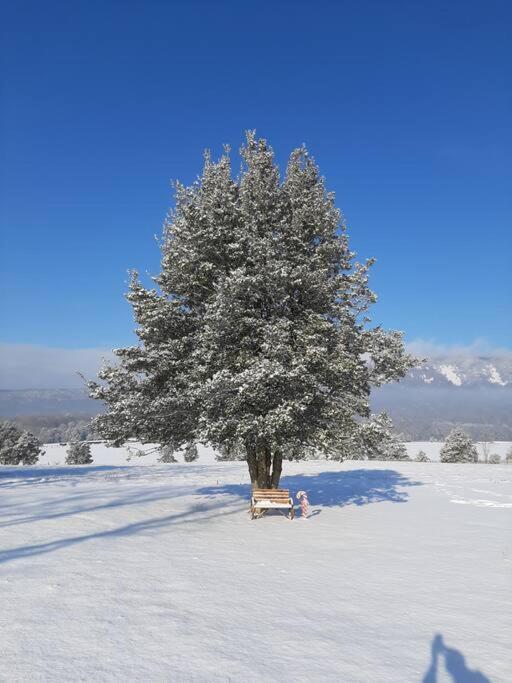 Вілла Holly Tree Retreat Located In Beautiful Luray, Va. Екстер'єр фото