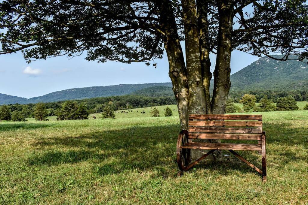 Вілла Holly Tree Retreat Located In Beautiful Luray, Va. Екстер'єр фото