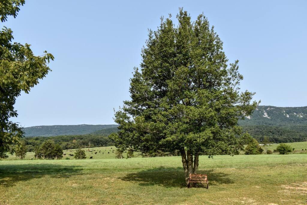 Вілла Holly Tree Retreat Located In Beautiful Luray, Va. Екстер'єр фото